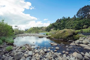 Waiwhakaiho River