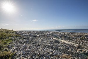 New Plymouth Back Beach