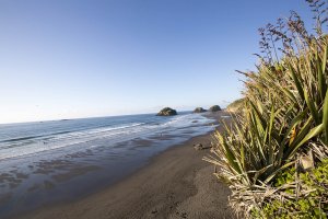 New Plymouth Back Beach