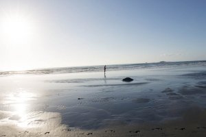 New Plymouth Back Beach