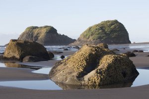 New Plymouth Back Beach