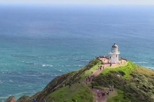 Far north tour - Cape Reinga