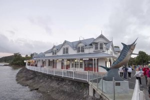 Far north tour - Paihia