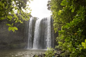 Whangarei Falls