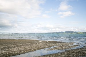 Whangarei Heads Road