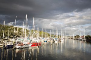 Whangarei marine