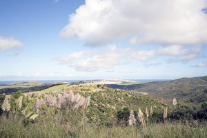 Cape Reinga Road