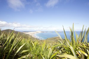 Cape Reinga