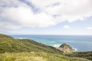 Cape Reinga