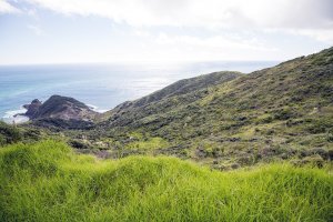 Cape Reinga