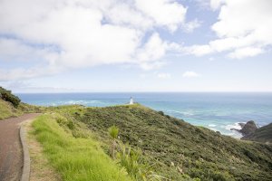 Cape Reinga