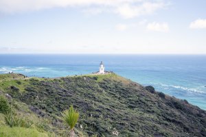 Cape Reinga