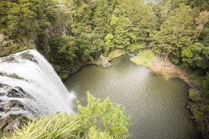 Whangarei Falls