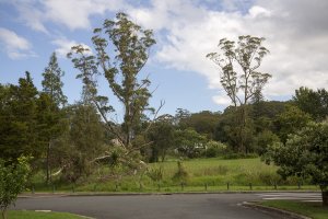 Kerikeri