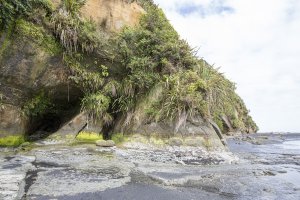 Three Sisters and the Elephant Rock - Tongaporutu