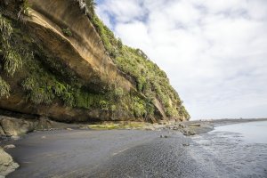 Three Sisters and the Elephant Rock - Tongaporutu