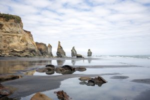 Three Sisters and the Elephant Rock - Tongaporutu