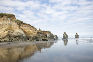 Three Sisters and the Elephant Rock - Tongaporutu