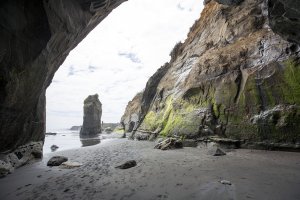 Three Sisters and the Elephant Rock - Tongaporutu