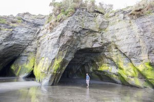 Three Sisters and the Elephant Rock - Tongaporutu