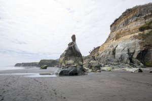 Three Sisters and the Elephant Rock - Tongaporutu