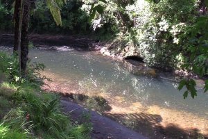 Adams Point - Te Henui Walkway