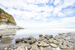 Wai-iti Beach Retreat, Waiiti