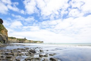 Whitecliffs Walkway