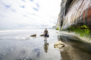 Whitecliffs Walkway