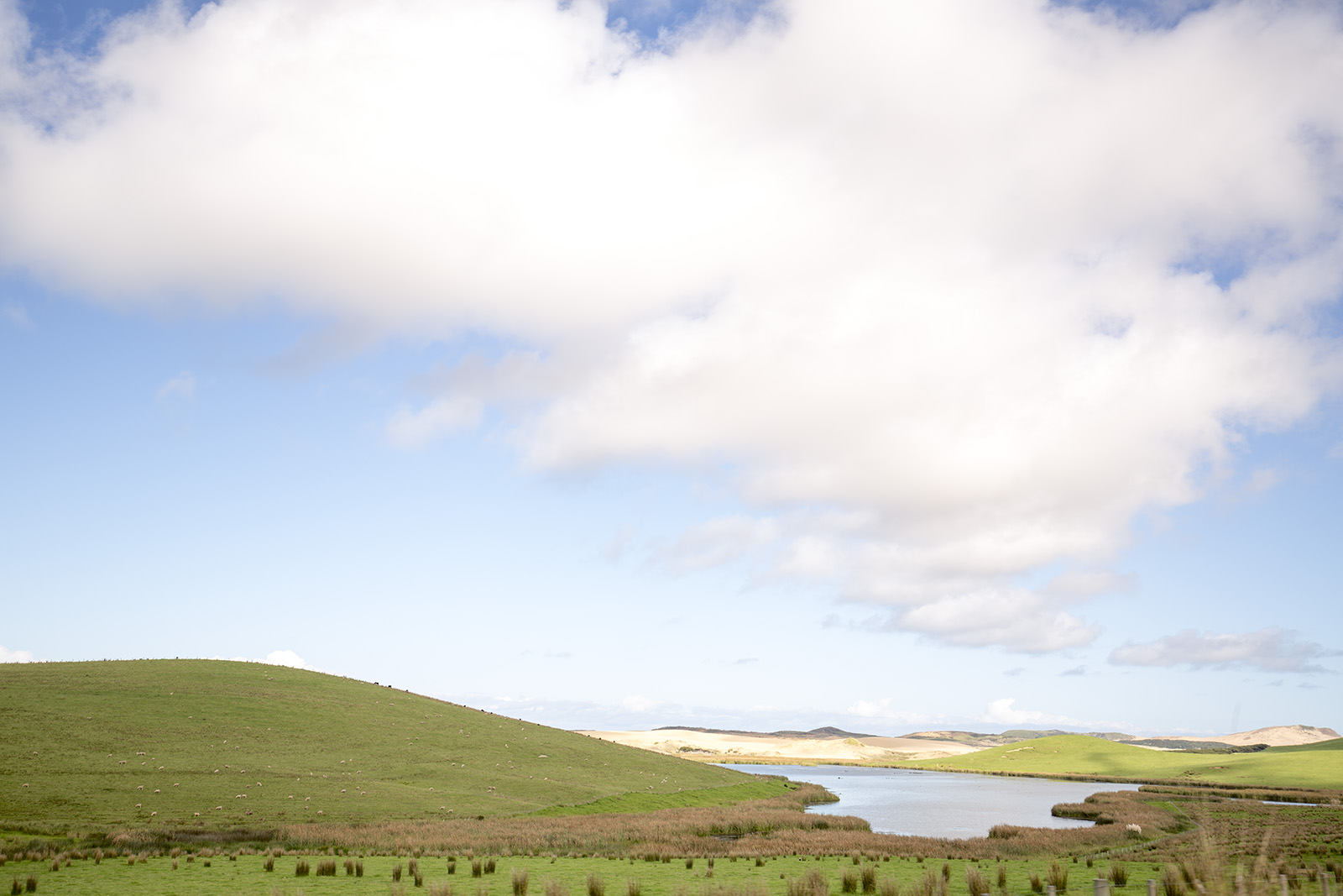 Cape Reinga