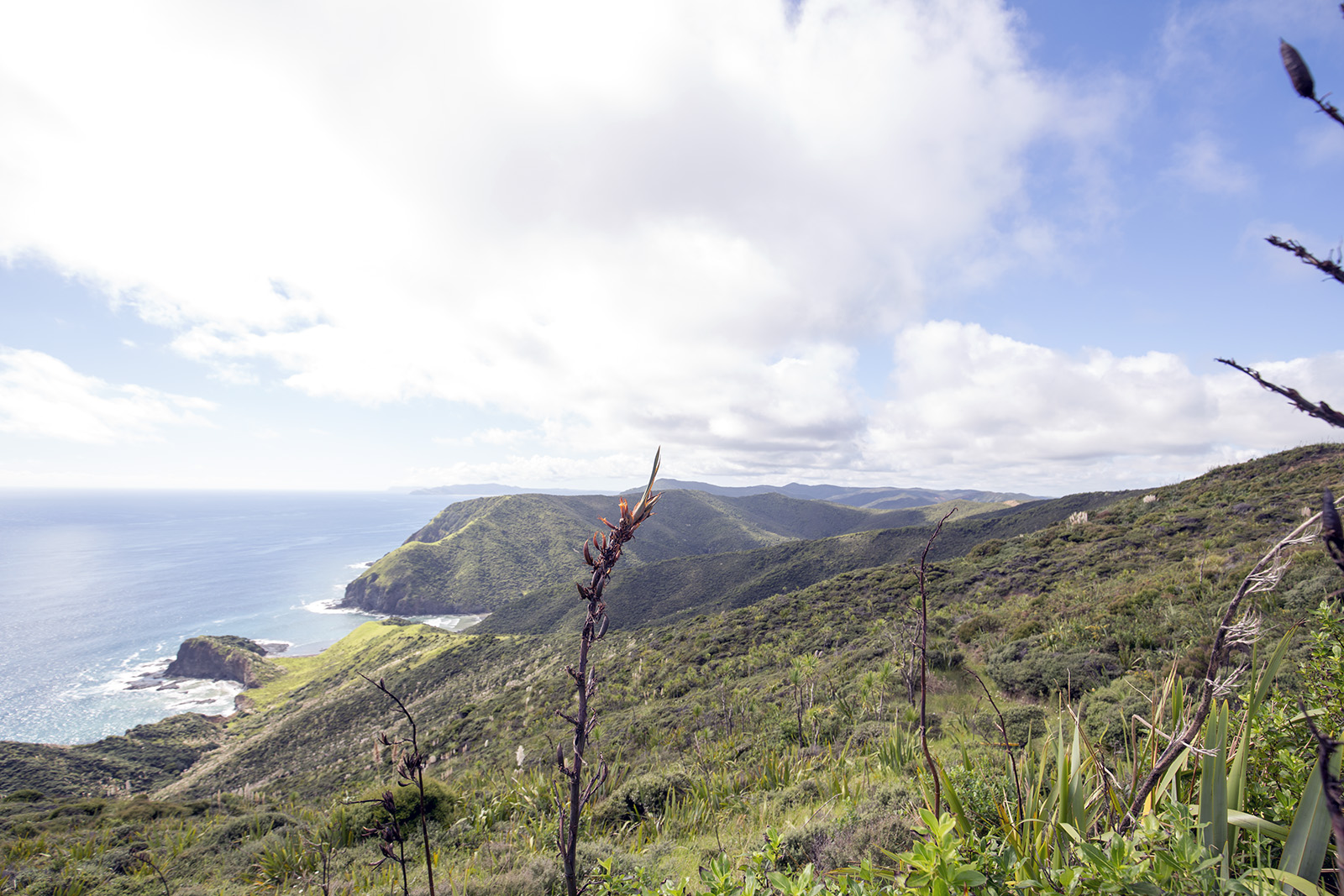 Cape Reinga