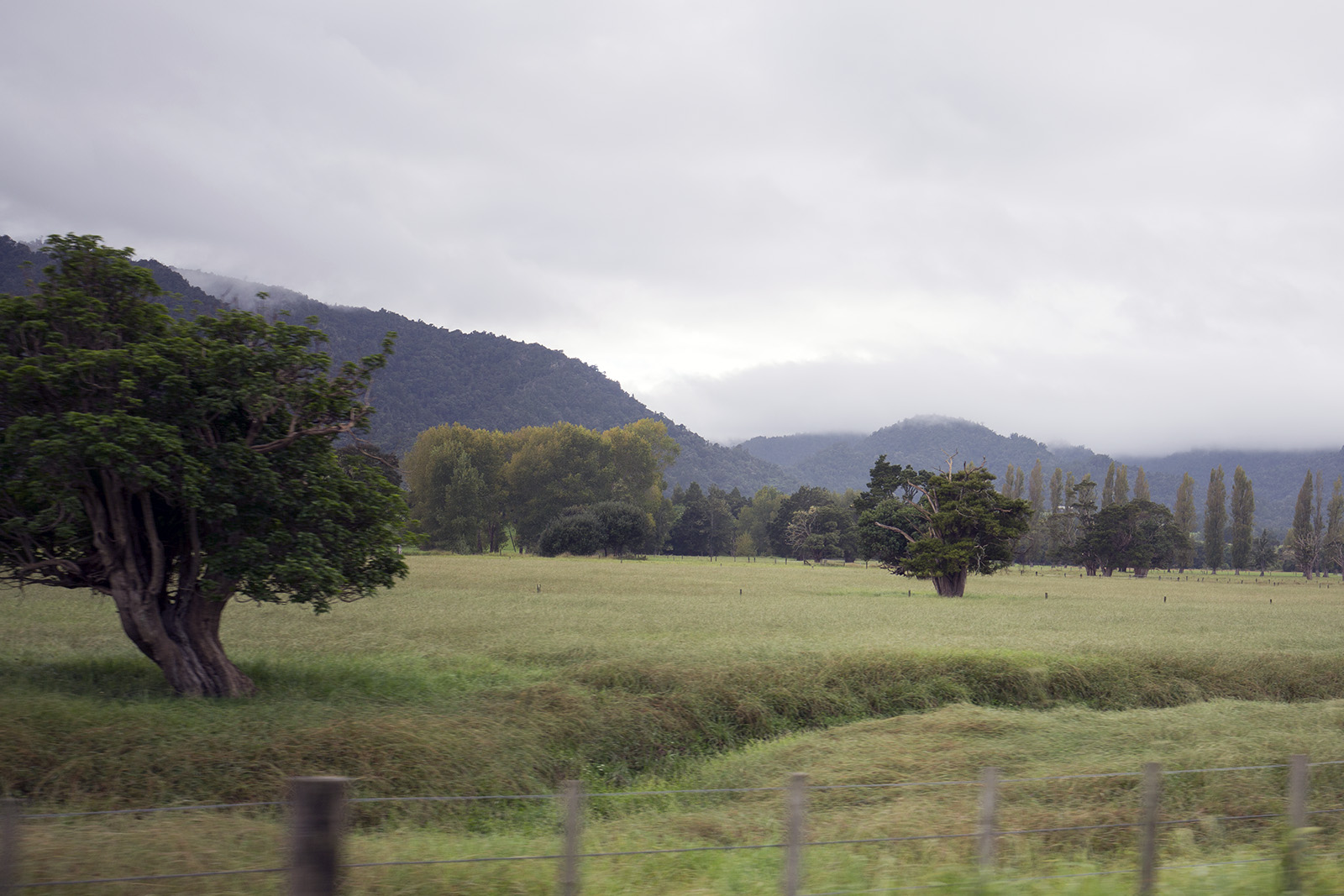 Kaitaia