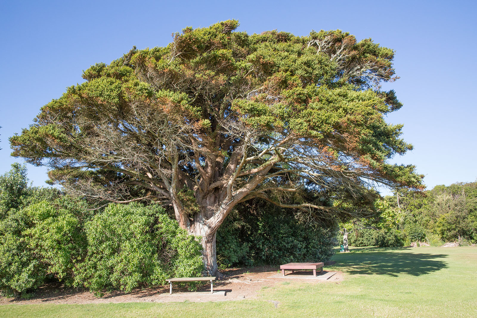 Kowhai Park, Levin