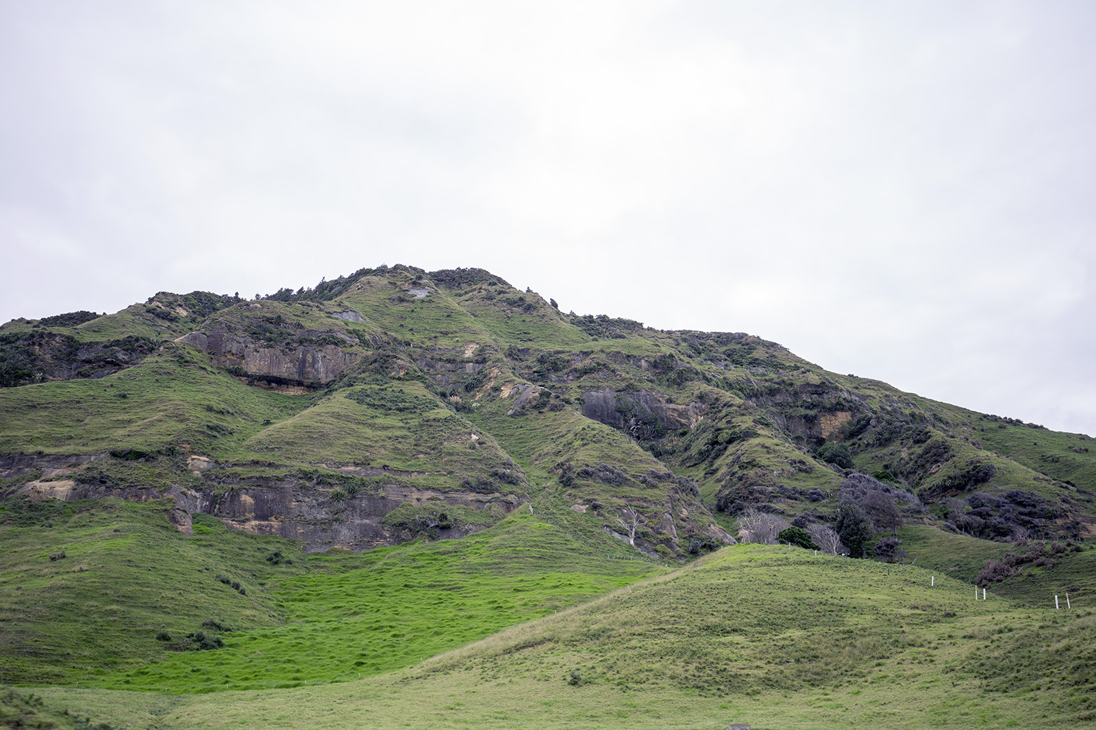 Mokau Rd South of Mokau