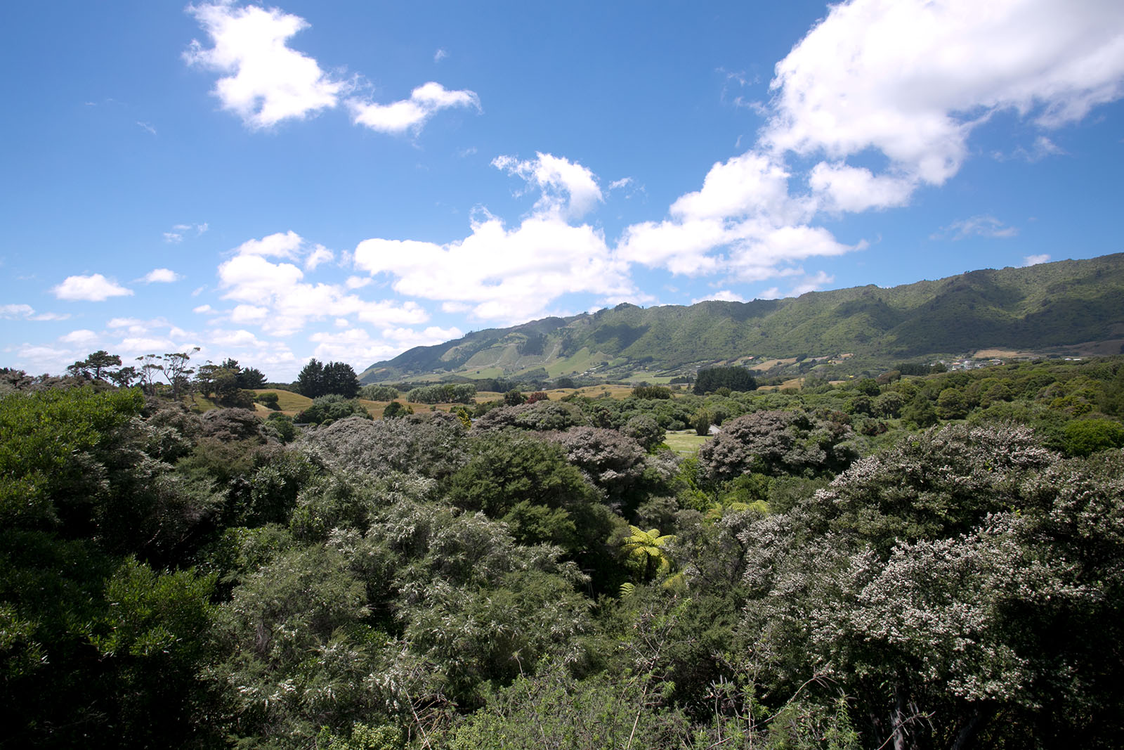 Nga Manu Nature Reserve