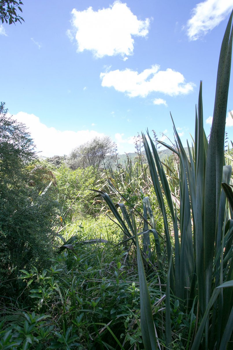 Nga Manu Nature Reserve