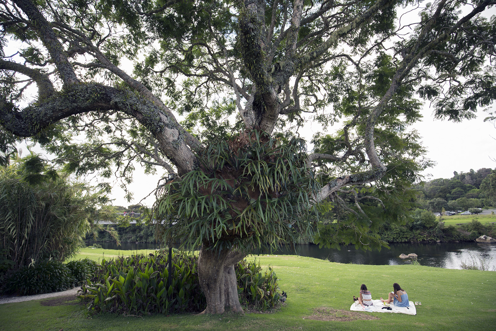 Stone Store - Kerikeri