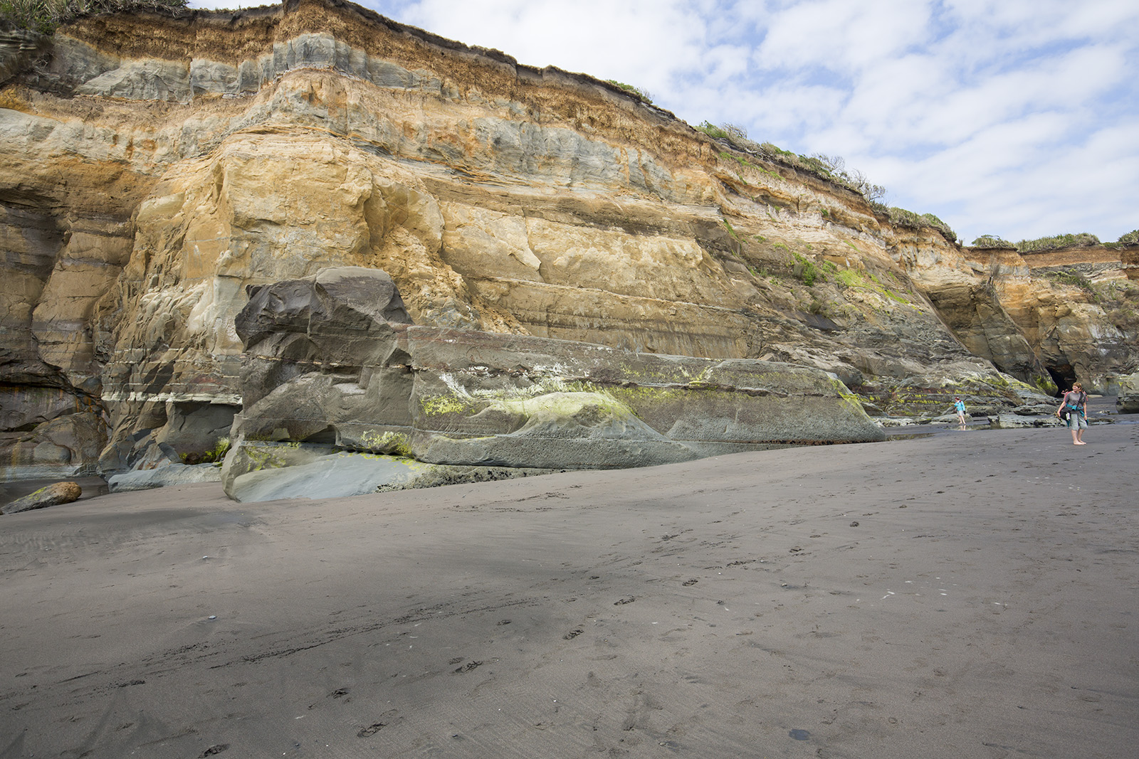 Three Sisters and the Elephant Rock - Tongaporutu