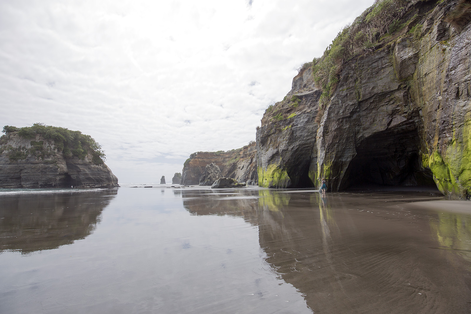 Three Sisters and the Elephant Rock - Tongaporutu