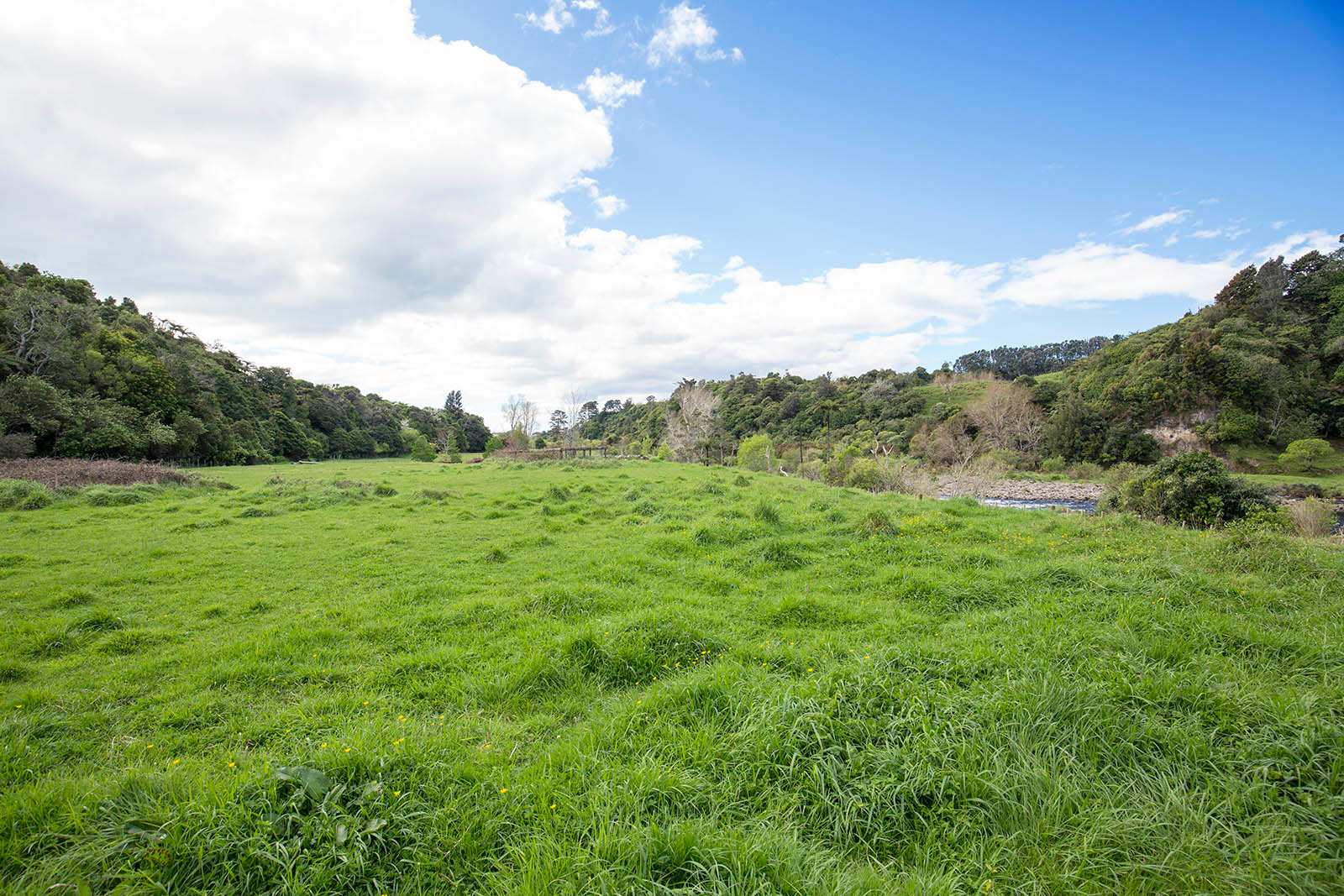 Waiwhakaiho River