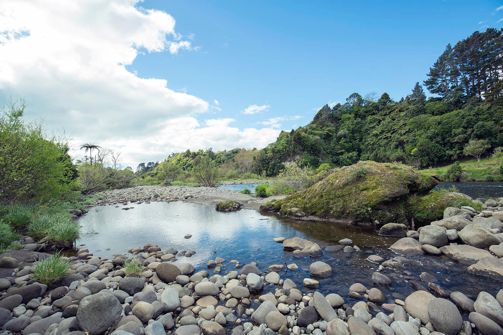 Waiwhakaiho River