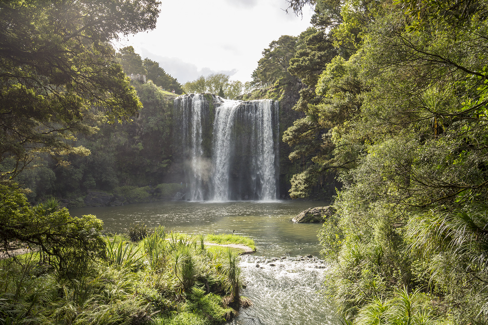 Whangarei Falls