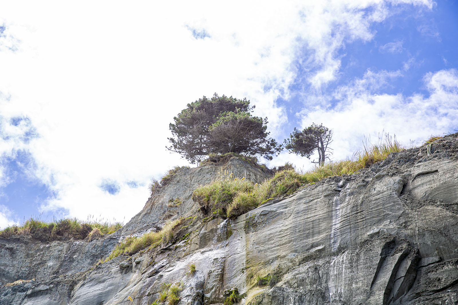 Whitecliffs Walkway