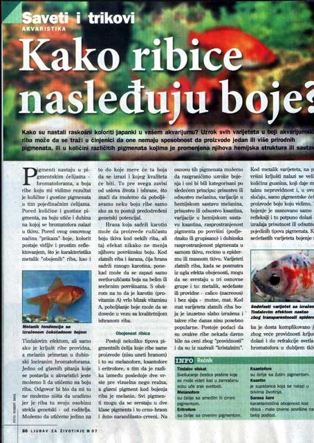 zoo_magaz22.jpg