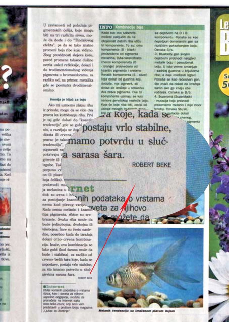 zoo_magaz33.jpg